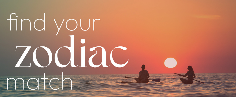 Find your zodiac match